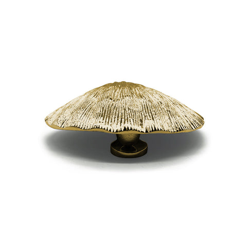Sea Shell Door Knocker - Brass