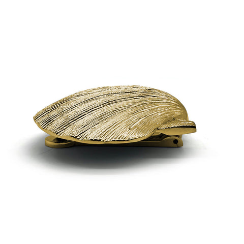 Sea Shell Door Knocker - Brass